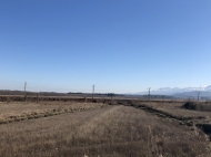 Ground area ( A plot of land ) for sale in Natanebi, Ozurgeti, Georgia.  Land with mountains view.     Photo 4