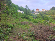 Land parcel, Ground area for sale in the suburbs of Batumi, Georgia. Photo 6