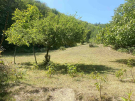 Land parcel, Ground area for sale in a resort area of Racha-Lechum, Georgia. Photo 4