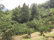 მიწის ნაკვეთი კურორტულ ზონაში მახინჯაურში, საქართველო. ფოტო 4