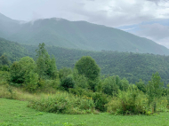 Продается земельный участок в курортном районе Рача-Лечхуми, Грузия. Фото 3