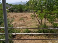 House for sale with a plot of land in the suburbs of Tbilisi, Mukhrani. Photo 6