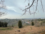 იყიდება მიწის ნაკვეთი ზღვასთან ბობოყვათში, საქართველო. ფოტო 2