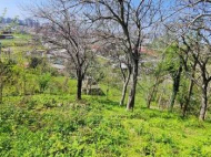 Продается земельный участок в пригороде Батуми, Урехи. Фото 2