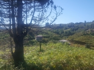 Земельный участок на продажу в Батуми. Участок с видом горы в Батуми, Грузия. Фото 2