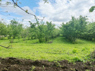 House for sale with a plot of land in the suburbs of Ozurgeti, Georgia. Near the river. Photo 9