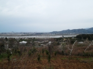Земельный участок с видом на город Батуми. Фото 5