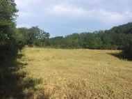 Land parcel, Ground area for sale in Kutaisi, Georgia. Photo 4
