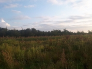 Land for sale 10 hectares. Photo 8