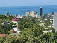 იყიდება კერძო სახლი მიწის ნაკვეთით გონიოში, საქართველო. იყიდება სასტუმროს ტიპის სახლი გონიოში. ფოტო 27