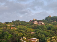 Land parcel, Ground area for sale in the suburbs of Batumi, Georgia. Photo 3