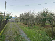 ყიდვა კერძო სახლის მიწის ნაკვეთით ოზურგეთი, საქართველო. ხილის ბაღი. თხილის ბაღი. ფოტო 4