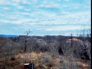 House for sale with a plot of land in the suburbs of Ozurgeti, Georgia. Photo 7