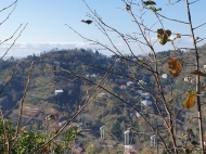 Земельный участок на продажу в пригороде Батуми, Грузия. Вид на море и горы. Фото 5