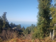 Земельный участок с видом на море и горы. Цихисдзири, Аджария, Грузия. Фото 2