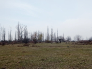 Продается земельный участок в пригороде Тбилиси, Грузия. Фото 4