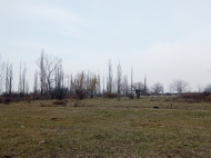 Land parcel, Ground area for sale in the suburbs of Tbilisi, Georgia. Photo 4