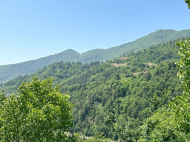 Продается частный дом с земельным участком в Кеда. Грузия. Фото 8