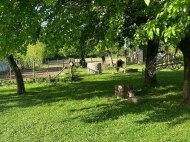 Купить частный дом с земельным участком в пригороде Самтредиа, Грузия. Фото 4