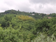 Купить частный дом с земельным участком в пригороде Батуми, Грузия. Вид на море и горы. Фото 39