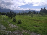 House for sale with a plot of land in Kakheti, Georgia. Land parcel, Ground area for sale in a picturesque place.  Photo 20