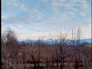 House for sale with a plot of land in the suburbs of Ozurgeti, Georgia. Photo 6