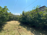 Купить дом с земельным участком в окрестностях Самтредиа, Вани, Грузия. У реки. Фото 3