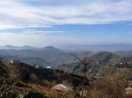 Продается земельный участок в пригороде Батуми, Грузия. Вид на море и горы. Фото 3