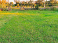 House for sale with a plot of land in the suburbs of Senaki, Georgia. Photo 10