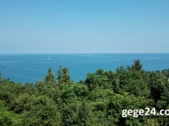 Ground area for sale at the seaside of Makhinjauri, Georgia. Land with sea view. Photo 2