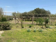 House for sale with a plot of land in Darcheli, Georgia. Walnut garden. Photo 6