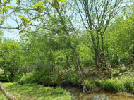 House for sale with a plot of land in the suburbs of Ozurgeti, Georgia. Orchard. Near the river. Photo 10