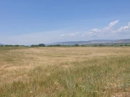 Land parcel, Ground area for sale in the suburbs of Tbilisi, Tserovani. Photo 2