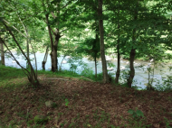 მიწის ნაკვეთი კურორტულ ზონაში ქობულეთში, საქართველო. იყიდება მიწა ისტორიულ და საკურორტო ზონაში. მდინარესთან. ფოტო 3