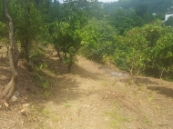 Земельный участок с видом на горы. Капрешуми, Батуми, Грузия. Фото 4