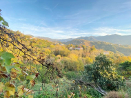 ყიდვა კერძო სახლის მიწის ნაკვეთით ქალაქგარეთ ბათუმში, საქართველო. ფოტო 3