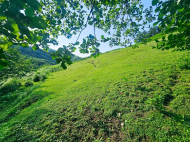 Land parcel, Ground area for sale in the suburbs of Batumi. Akhalsheni. Near the river. Natural spring. Photo 12