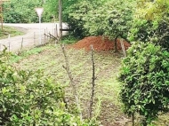 Land parcel, Ground area for sale in the suburbs of Batumi, Khelvachauri. Orchard. Photo 5