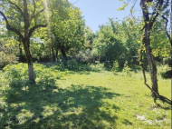 House for sale with a plot of land in Ozurgeti, Georgia. Orchard. Walnut garden. Natural spring. Photo 9