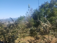Земельный участок с видом на море и горы в Батуми, Грузия. Фото 3