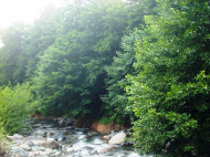 ვიყიდი კერძო სახლს საკურორტო რაიონში ოზურგეთი, საქართველო. მდინარესთან. ფოტო 6