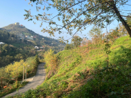 იყიდება მიწის ნაკვეთი ქალაქგარეთ ბათუმი, საქართველო. ზღვის ხედებით. ფოტო 7