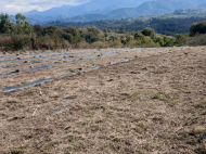 House for sale with a plot of land in the suburbs of Ozurgeti, Georgia. Near the river. Working business. Photo 13