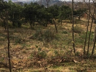 продается земельный участок в Гантиади, Батуми, Грузия. Фото 6