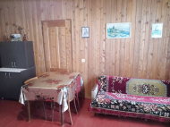 Купить частный дом в курортном районе Озургети, Грузия. Фруктовый сад. Ореховый сад. Фото 4