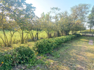 House for sale with a plot of land in the suburbs of Poti, Georgia. Orchard. Walnut garden. Near the river. Photo 11