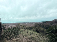 Land for sale in the resort area of ​​Ureki, Georgia. 1000 meters from the sea. Photo 2