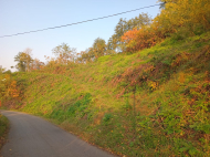 იყიდება მიწის ნაკვეთი ქალაქგარეთ ბათუმი, საქართველო. ზღვის ხედებით. ფოტო 6