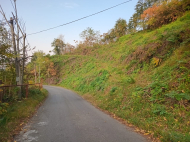 იყიდება მიწის ნაკვეთი ქალაქგარეთ ბათუმი, საქართველო. ზღვის ხედებით. ფოტო 5