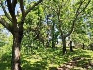 Land parcel, Ground area for sale at the seaside of Chakvi, Georgia. Photo 5